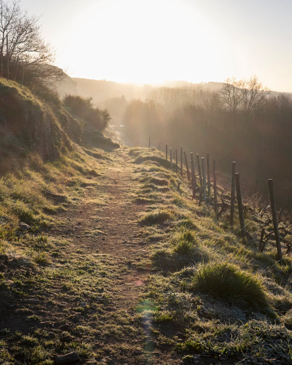 LBP - lundi belargus