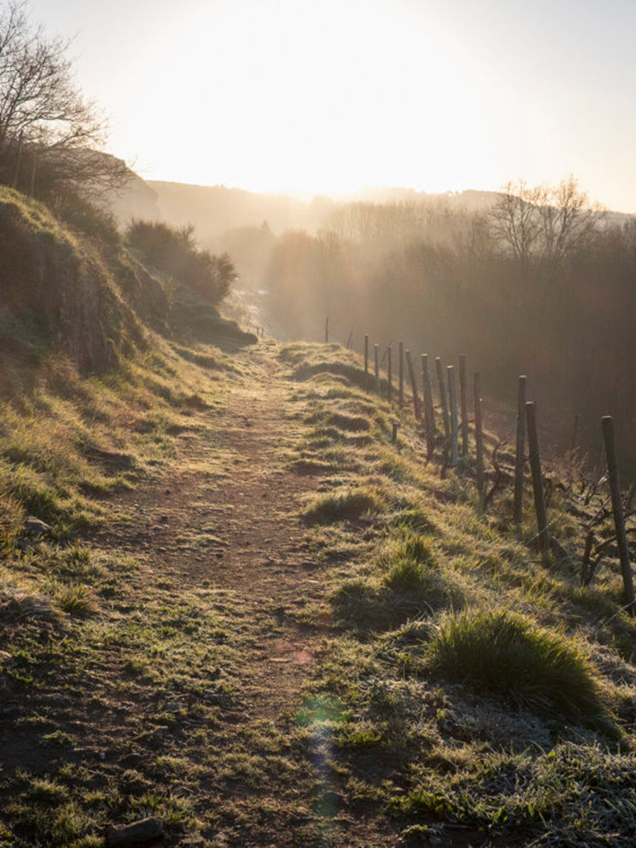 LBP - lundi belargus