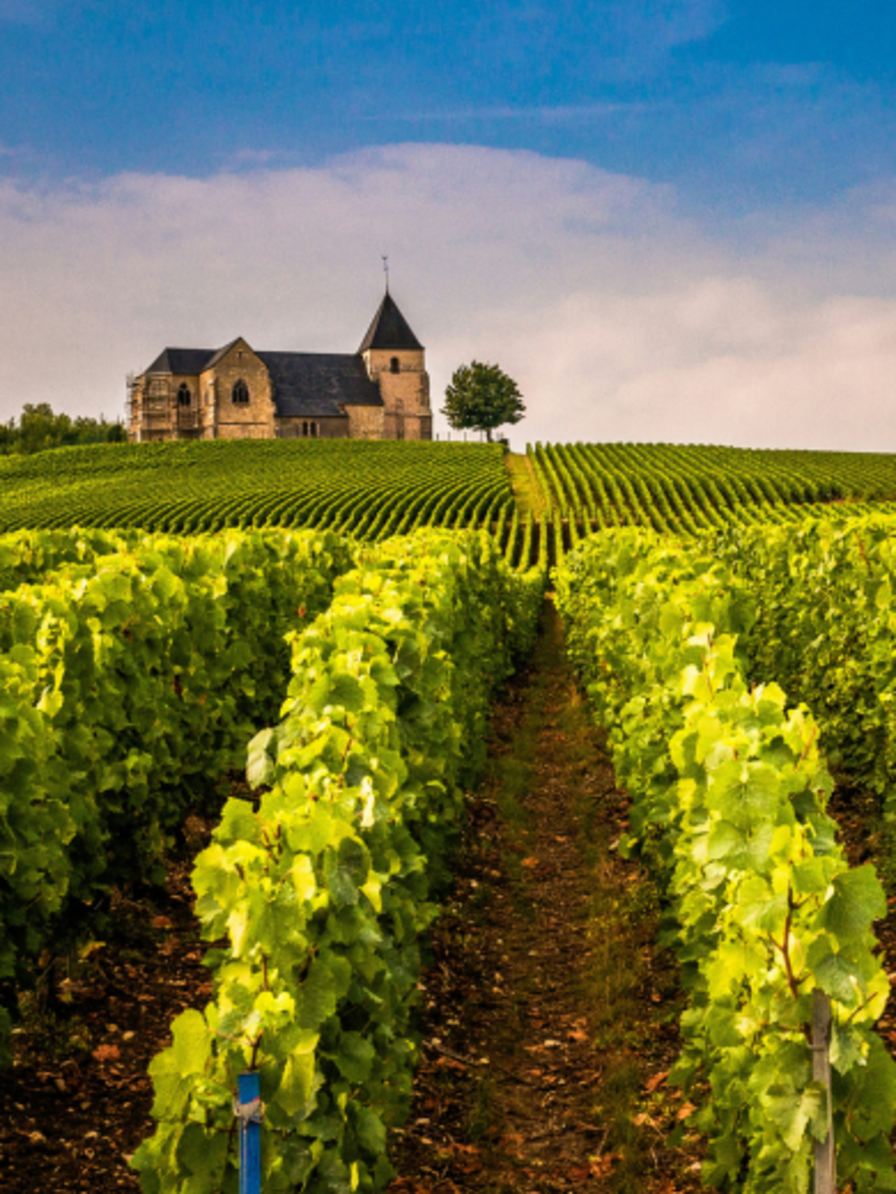 LBP - we du sommelier champagne