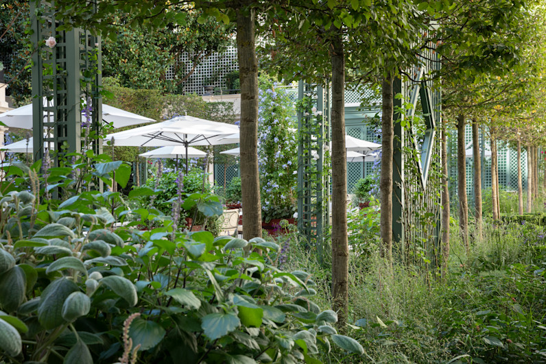 Le Bristol Paris - Jardin - © Marianne Majerus 