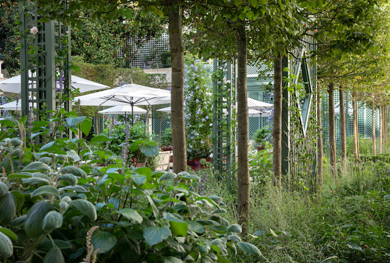 Le Bristol Paris - Jardin - © Marianne Majerus