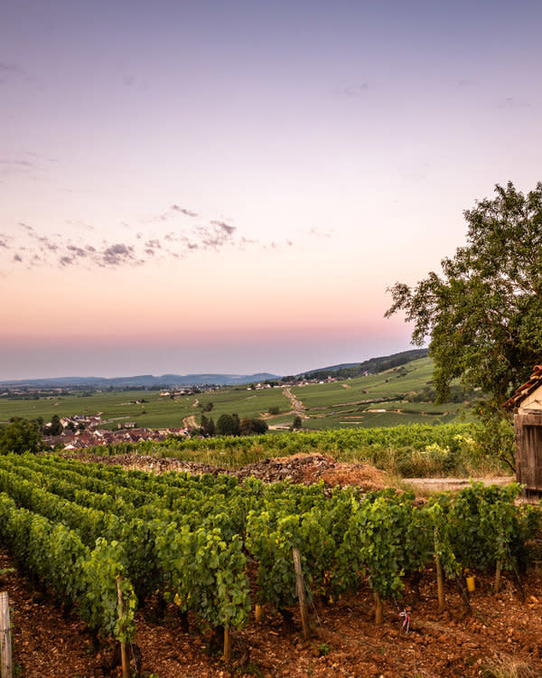 LBP - lundi Berthelemot