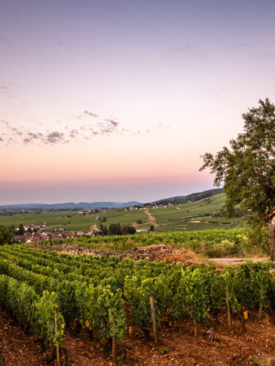 LBP - lundi Berthelemot