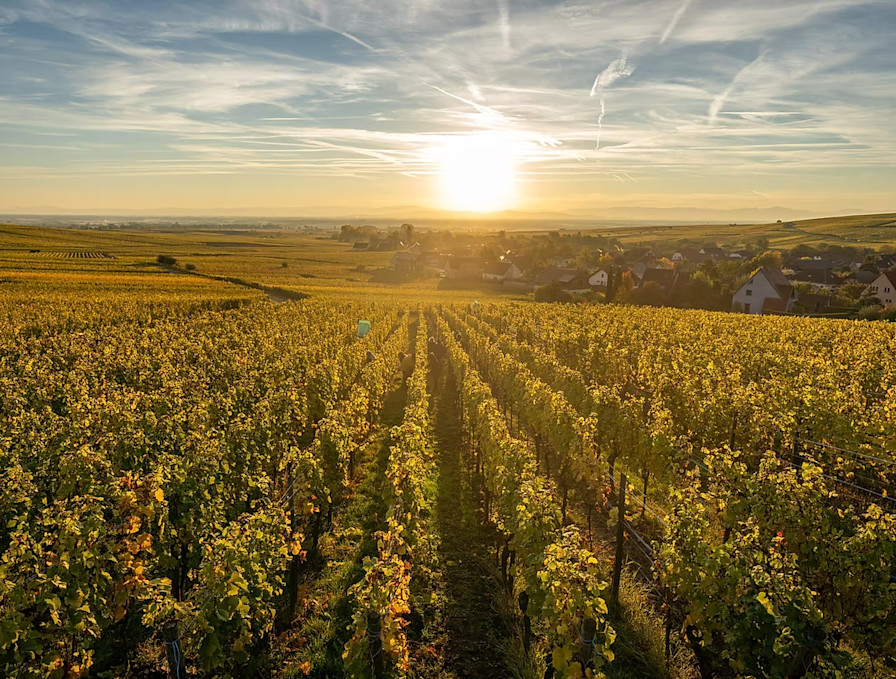 LBP - lundi Trimbach