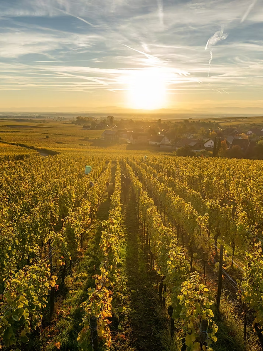 LBP - lundi Trimbach