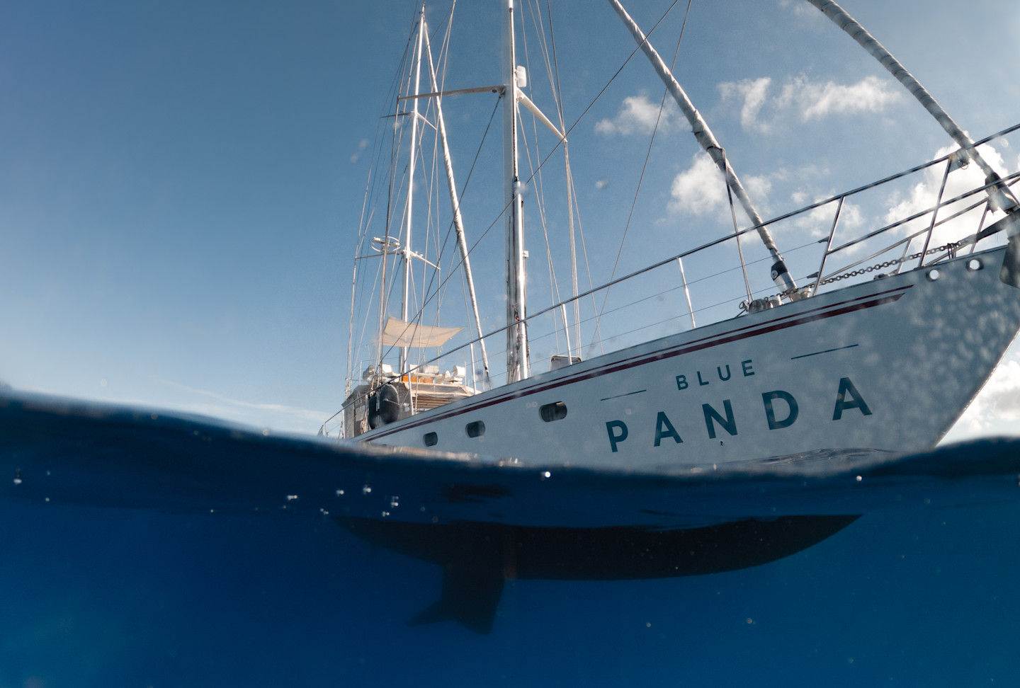 HDC - Blue Panda Boat WWF