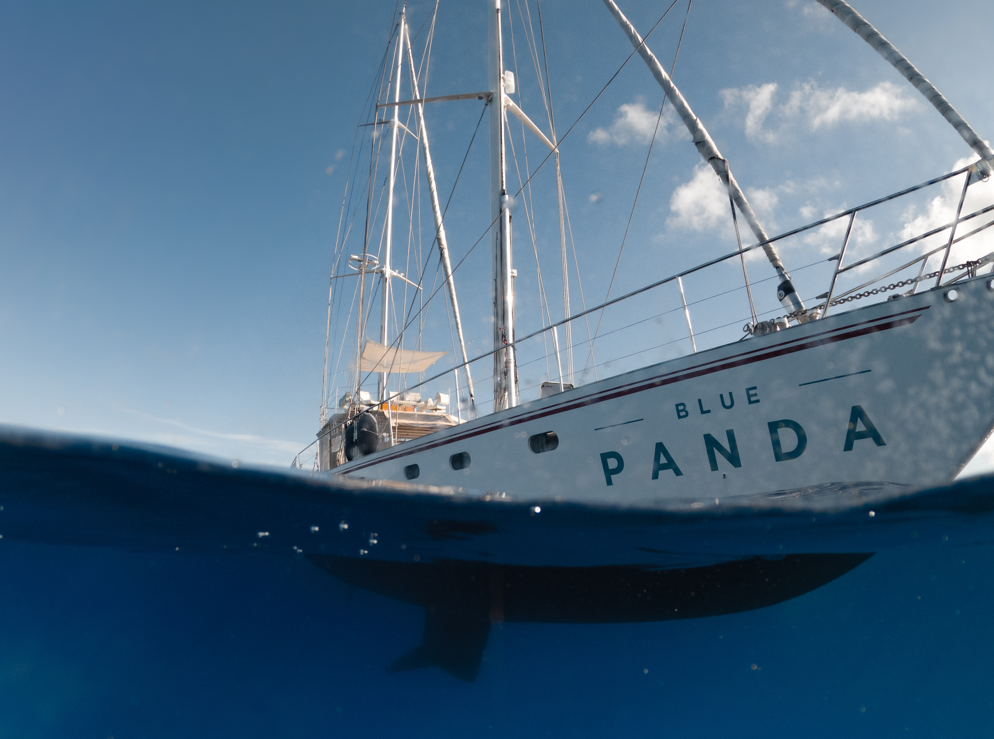 HDC - Blue Panda Bateau WWF