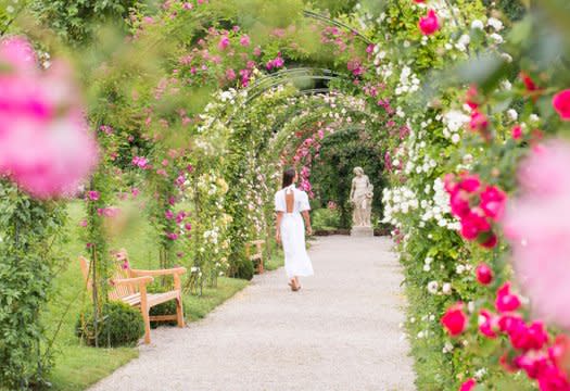 BPH - Baden-Baden-Rosenneuheitengarten