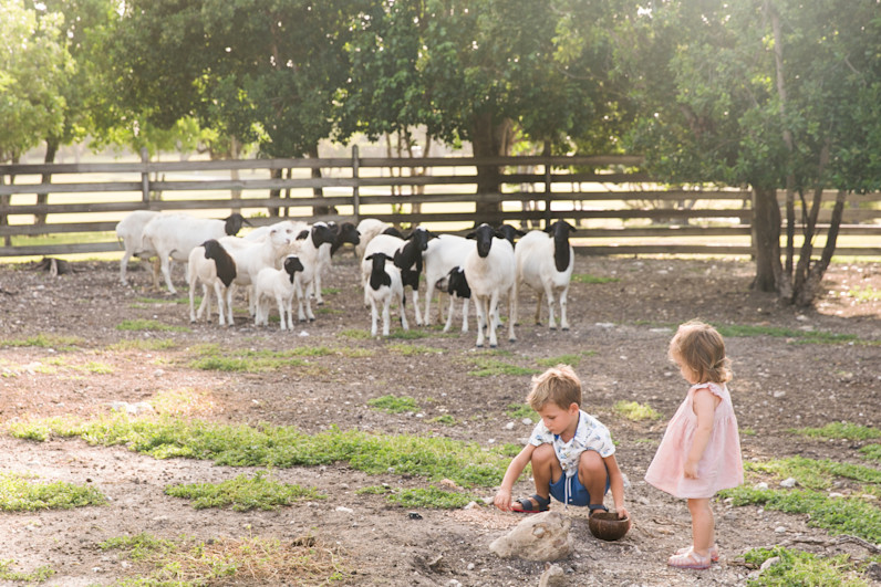 JBI - Family at the farm