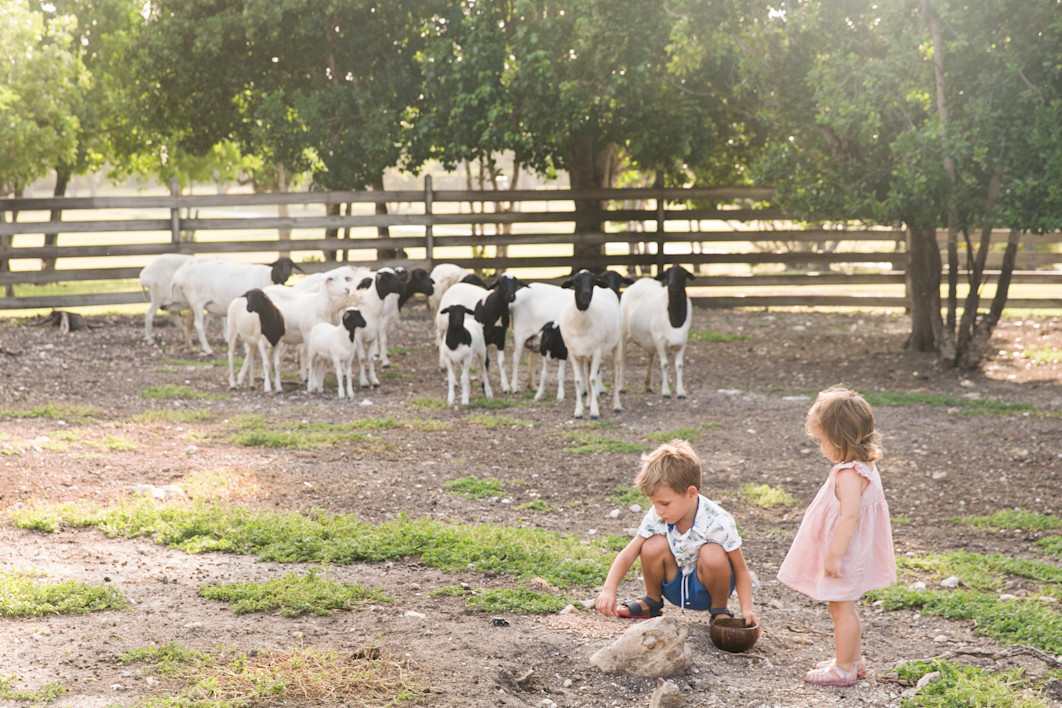JBI - Family at the farm