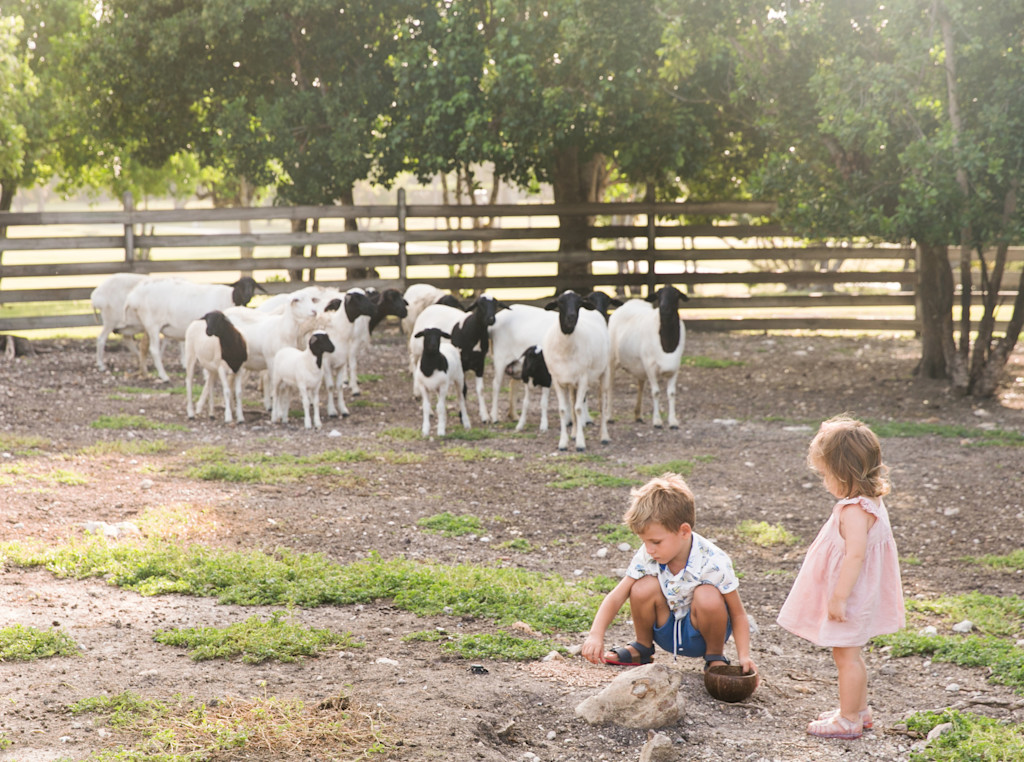 JBI - Family at the farm