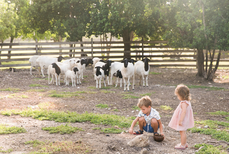 JBI - Family at the farm