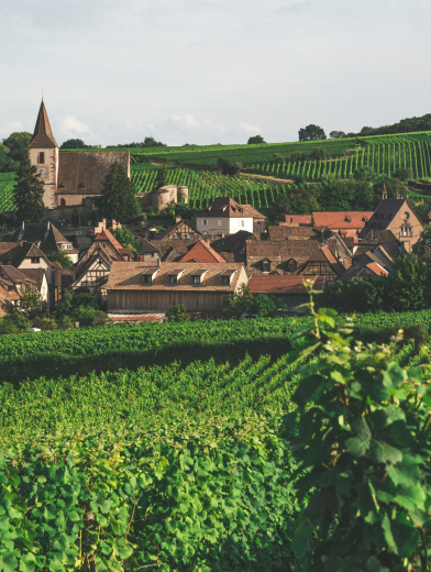 LBP - we du sommelier - alsace