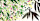LBP - pattern