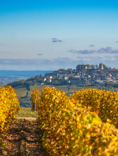 LBP - we du sommelier sancerre