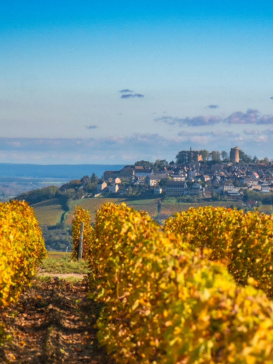 LBP - we du sommelier sancerre