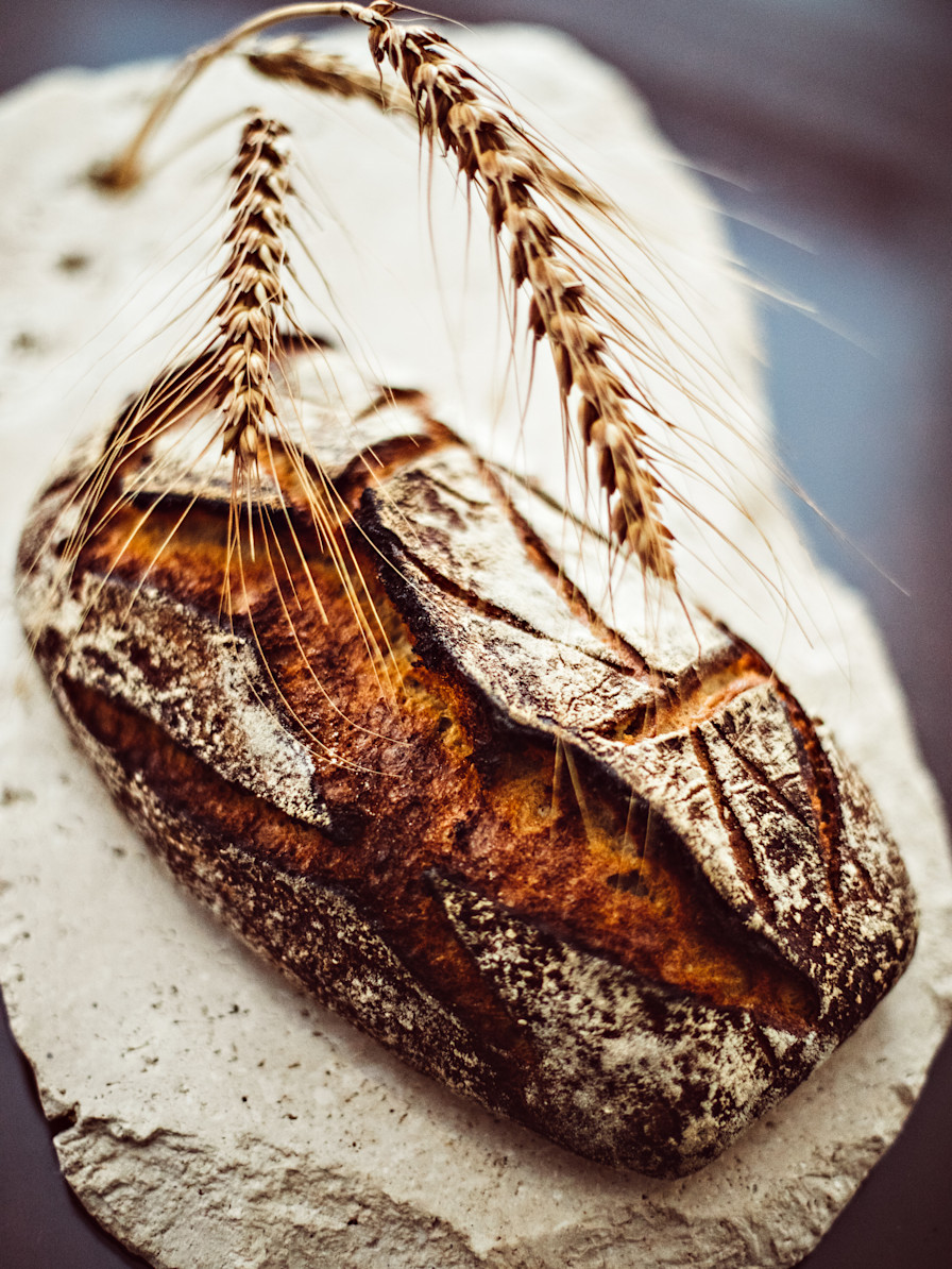 Le Bristol Paris x Le Pain Vivant ytpc1