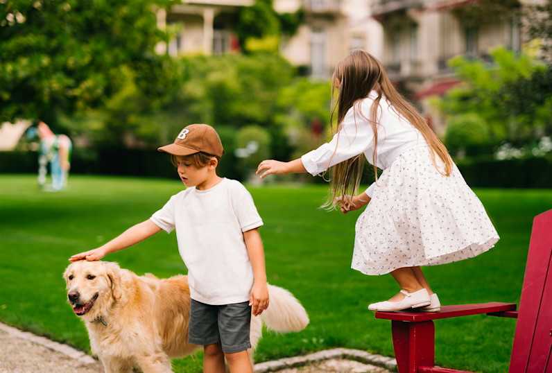 BPH - Kids - Dog
