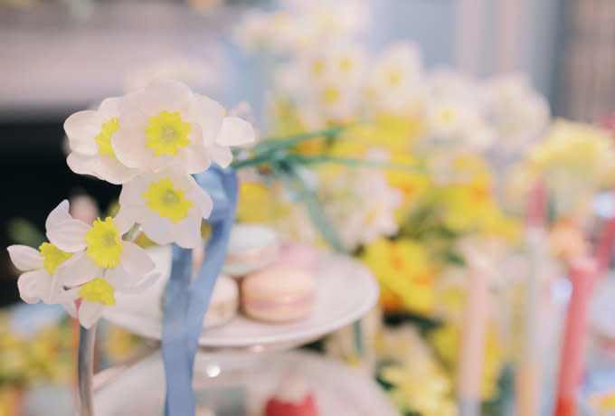 LAN - Spring Afternoon Tea