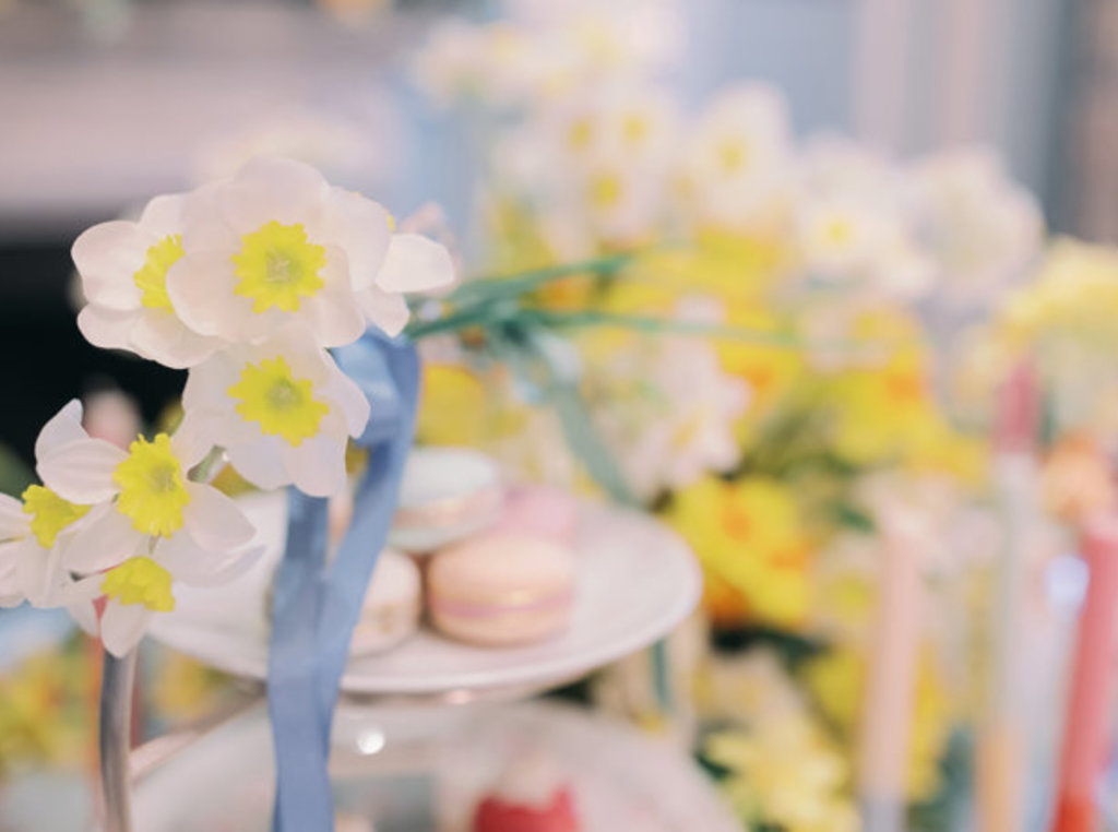 LAN - Spring Afternoon Tea