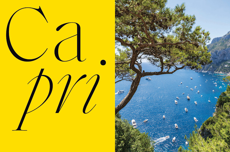 LPA - Journal