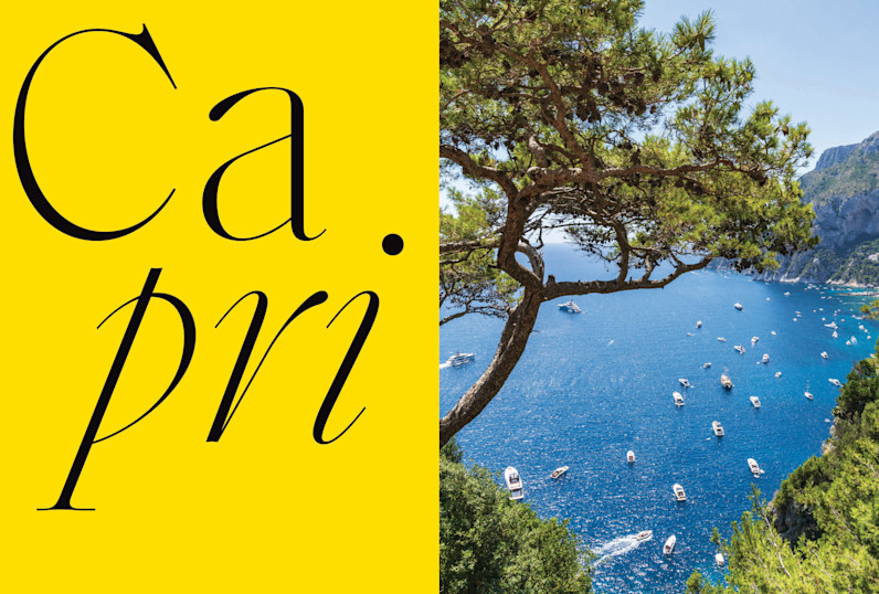 LPA - Journal