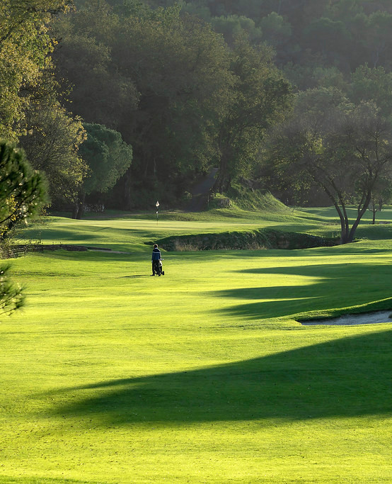 HDC - Golf player