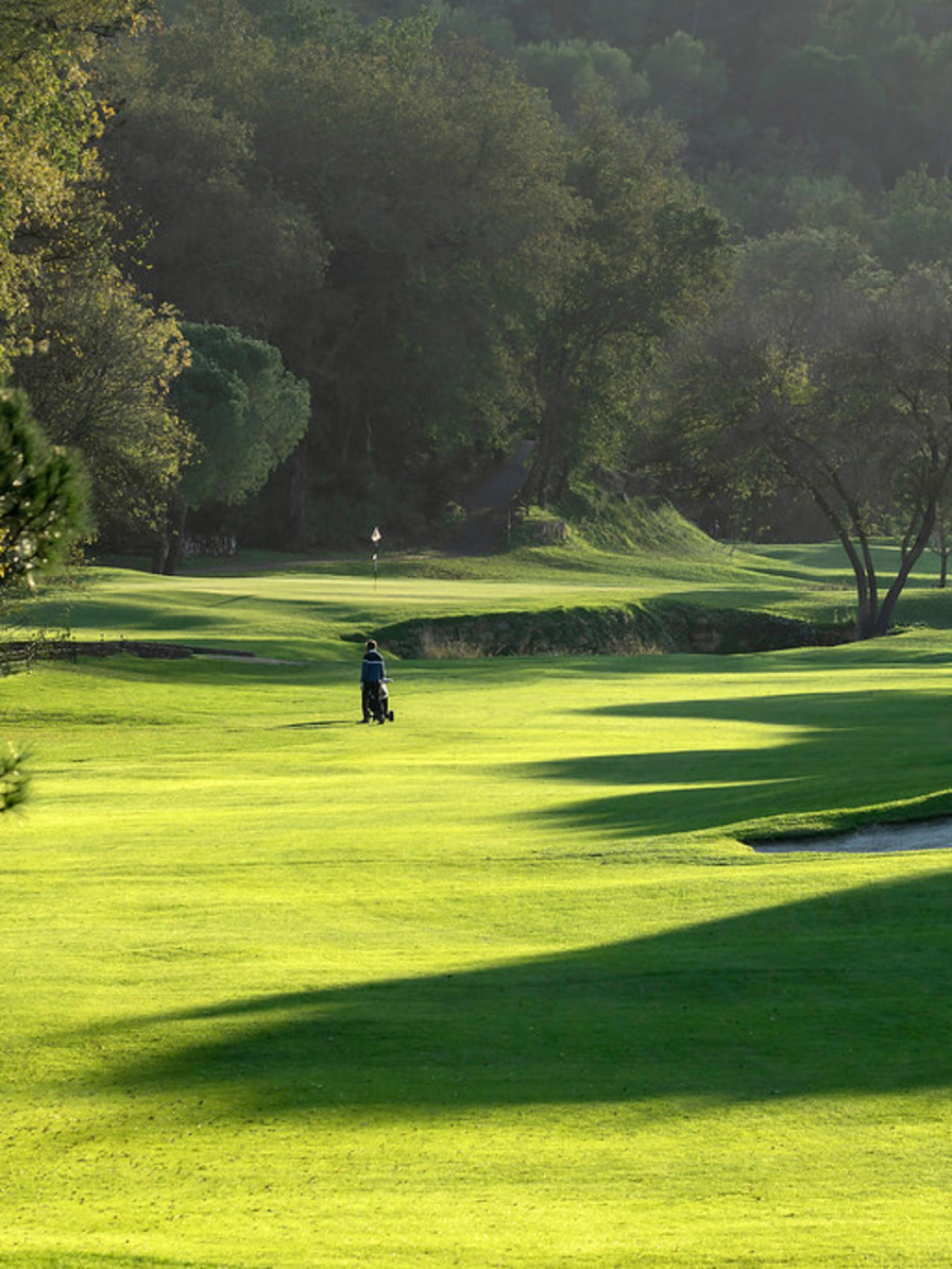 HDC - Golf player