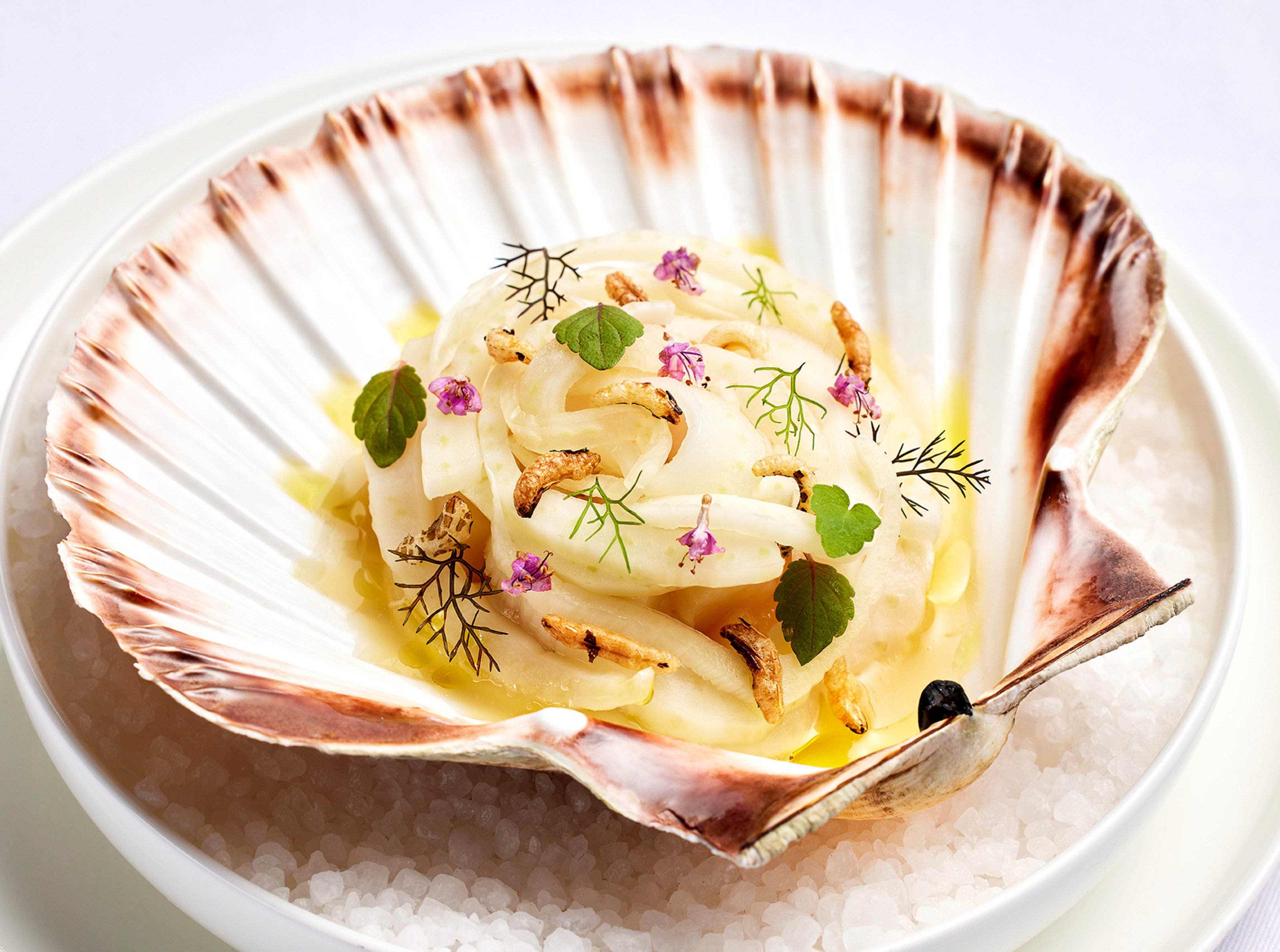 LAN - Roast Orkney scallop - A la Carte - Menu
