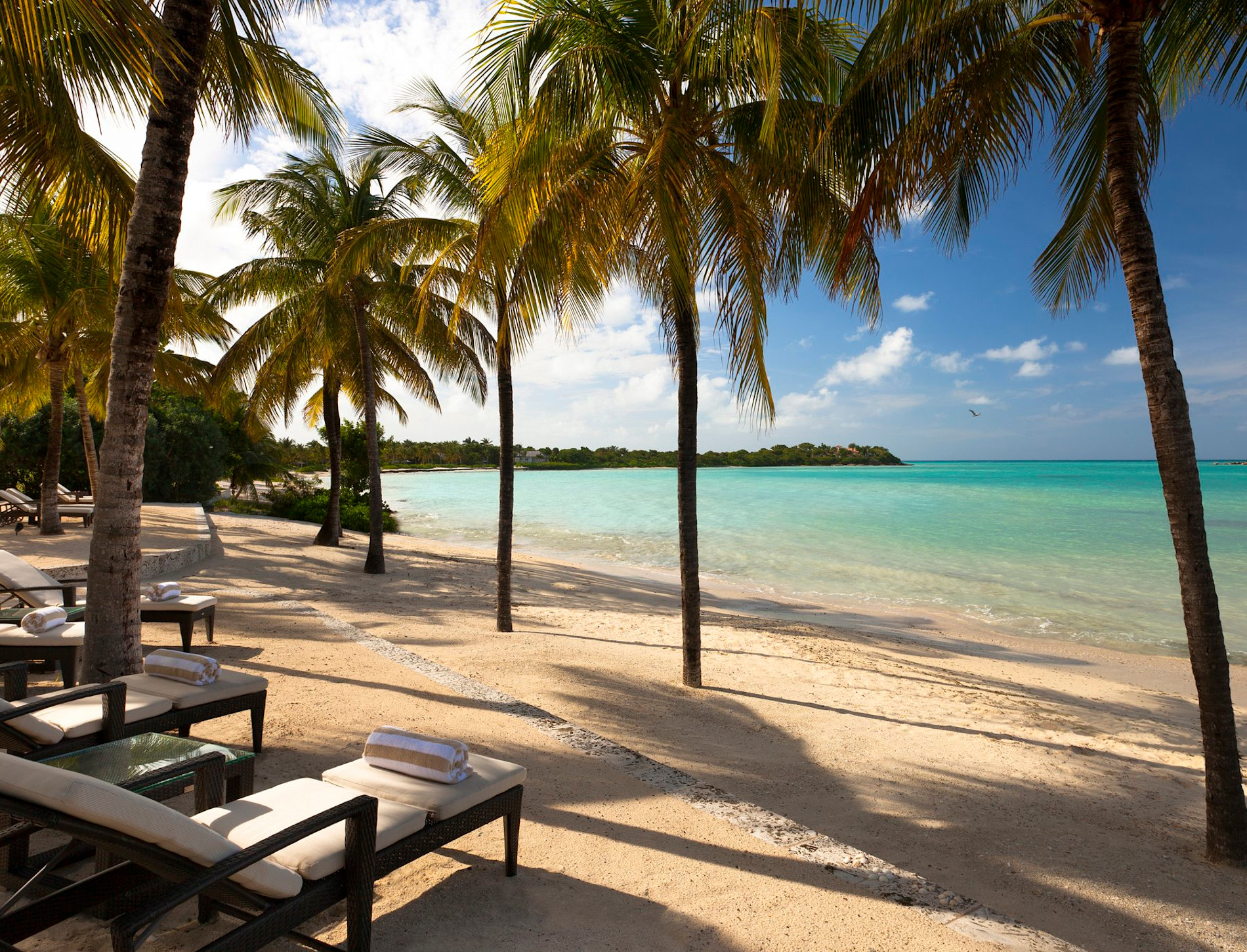 JBI - Room XOLE - Image 6