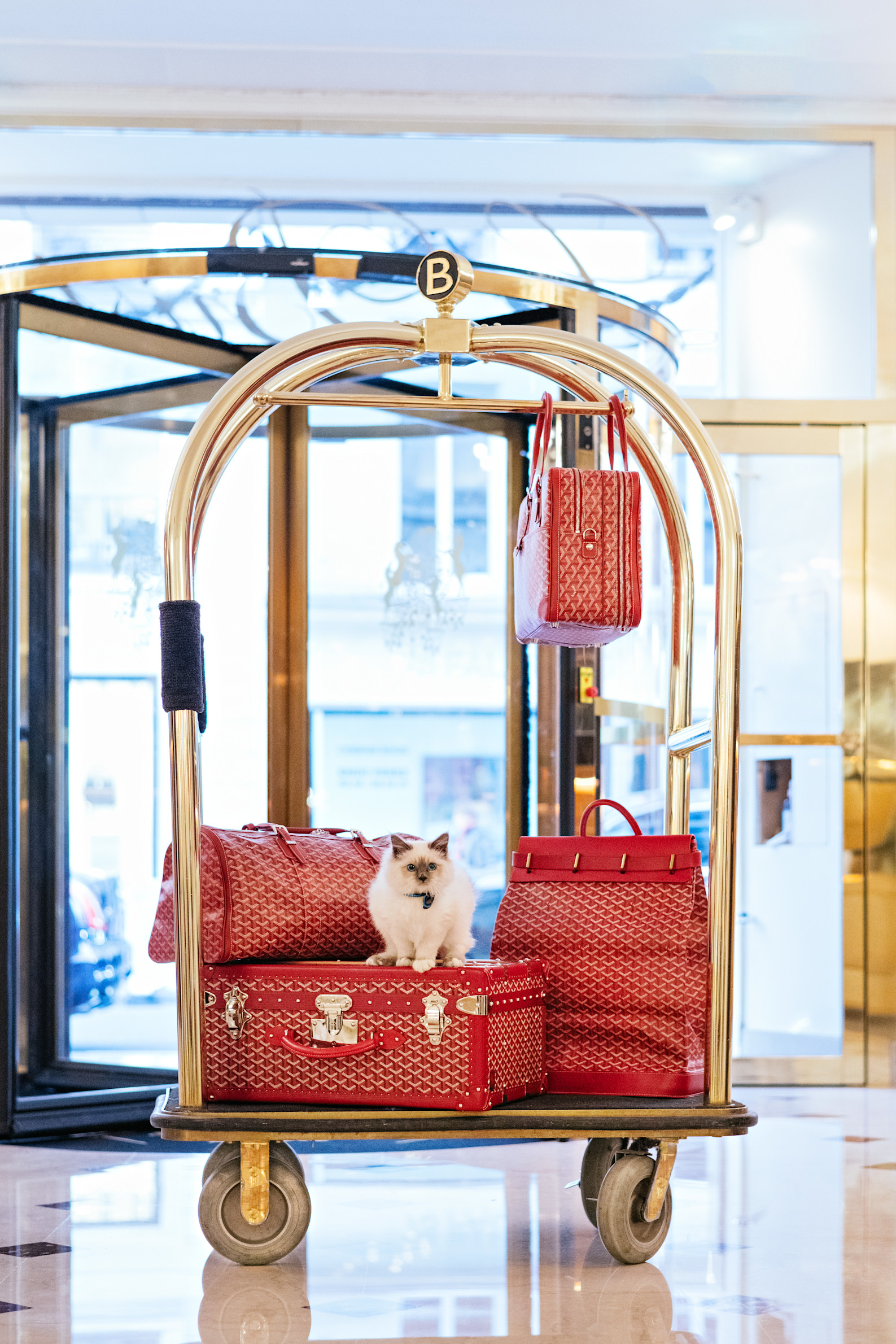 LBP - Socrate, nouveau résident du Bristol Paris 8VrRm