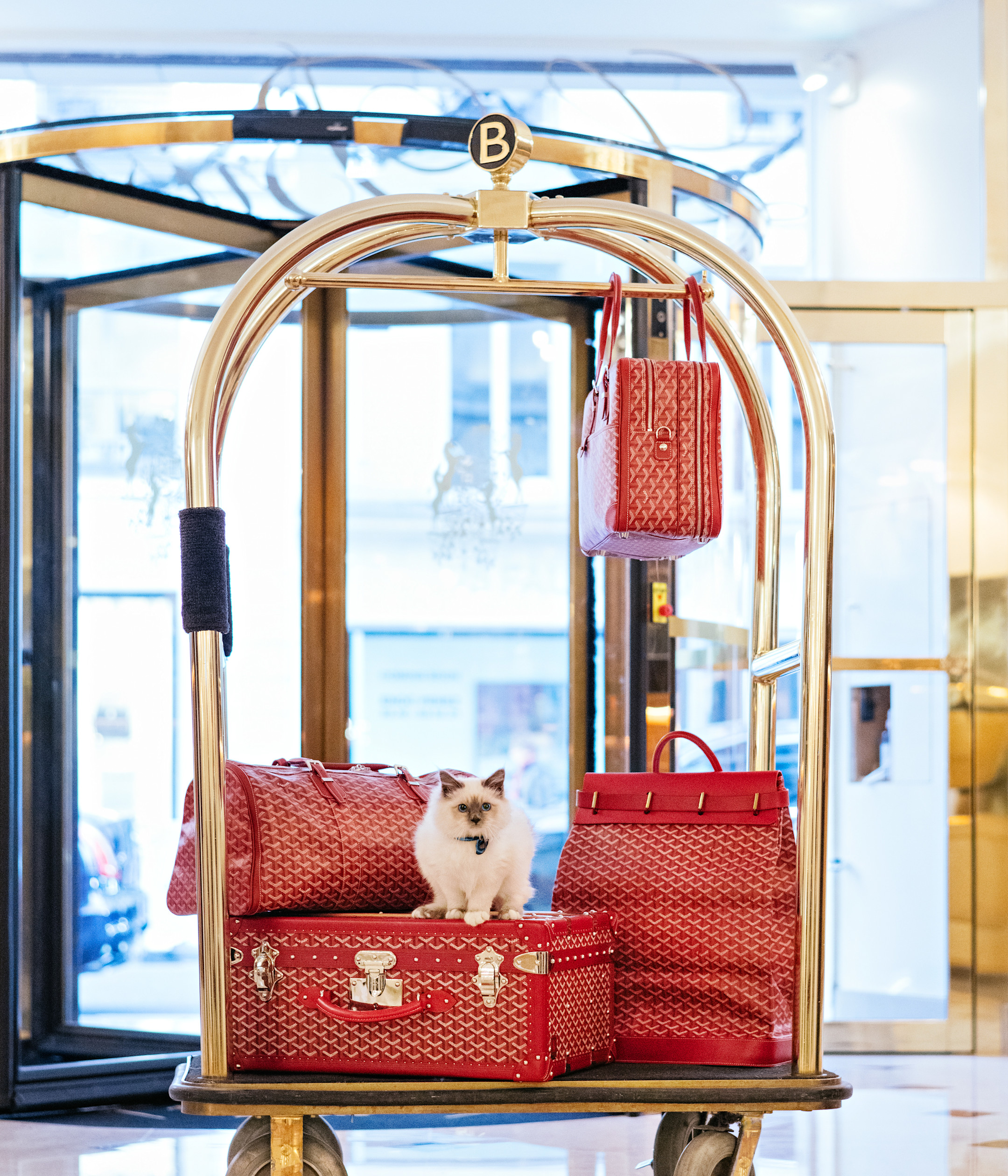 LBP - Socrate, nouveau résident du Bristol Paris 8VrRm