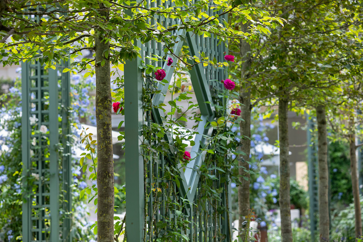 Le Bristol Paris - garden flowers