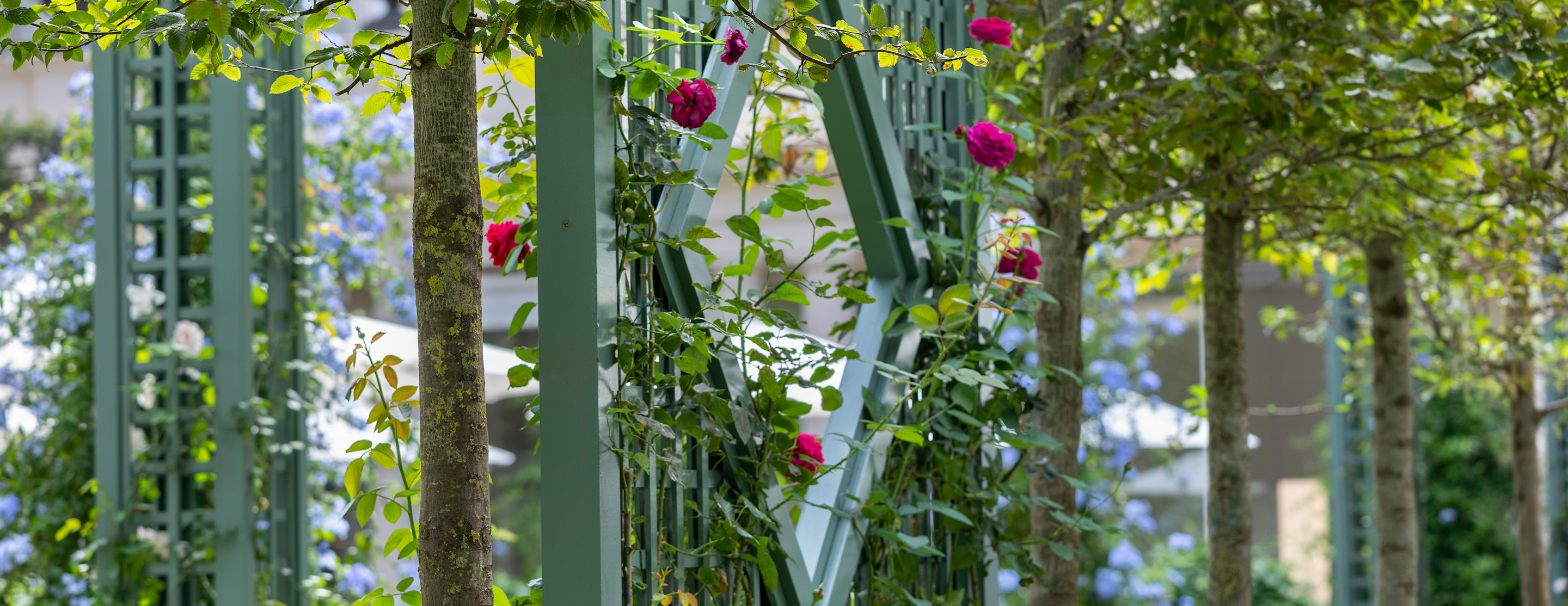 Le Bristol Paris - garden flowers