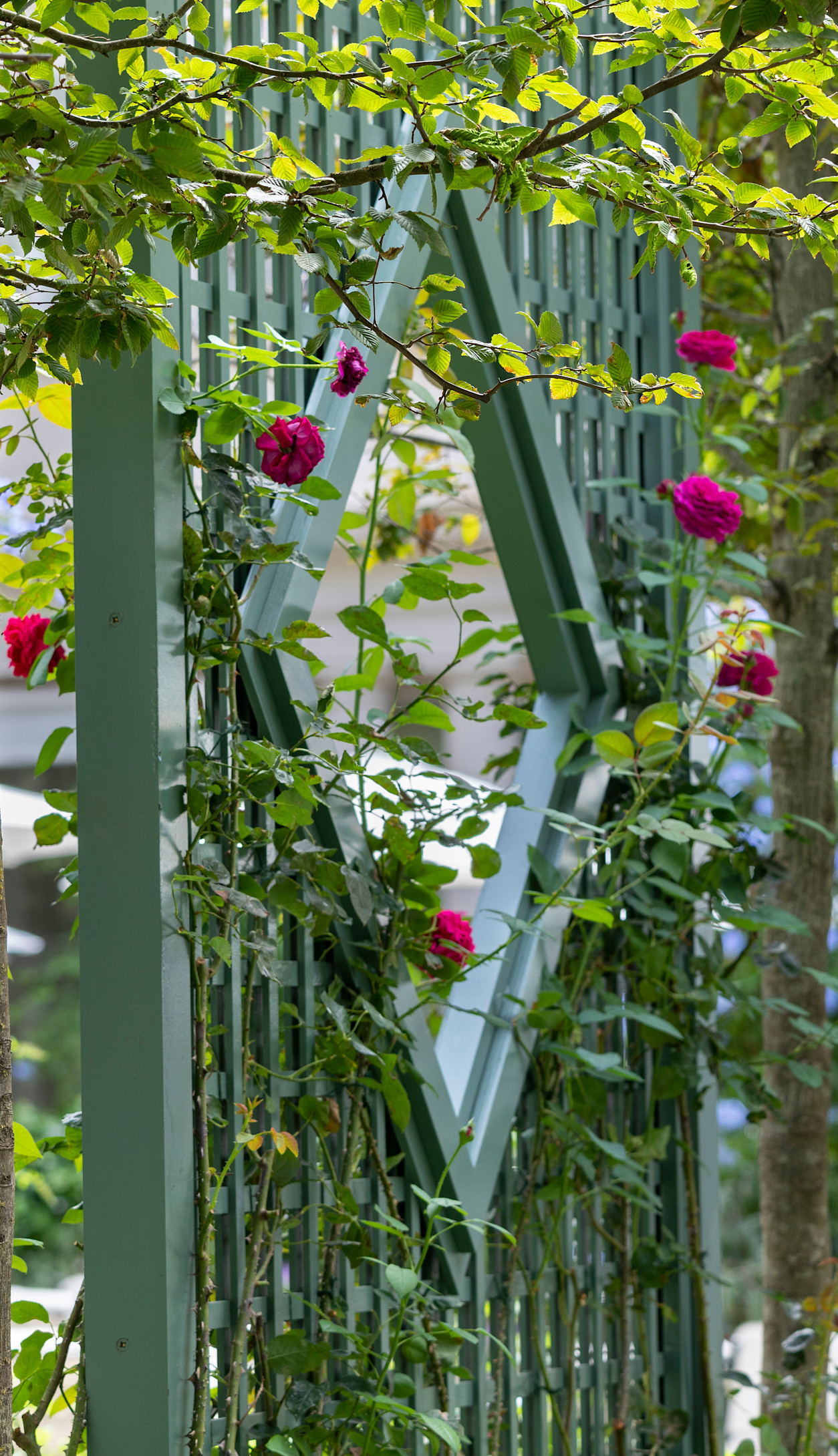 Le Bristol Paris - fleurs jardin