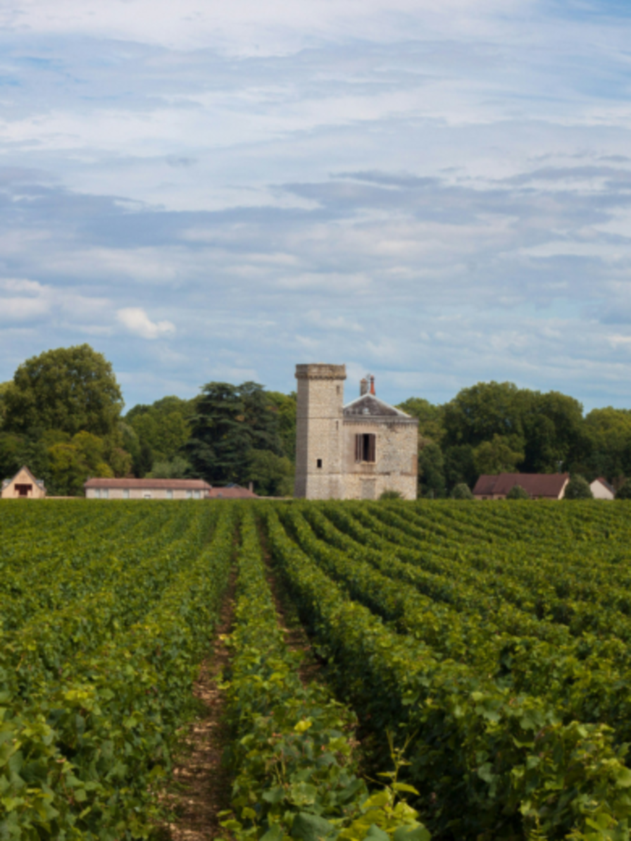 LBP - Week-end du Sommelier - Bourgogne, côtes de nuits