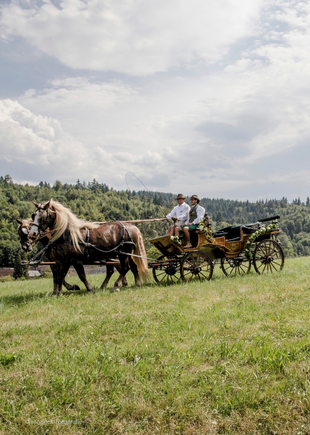 BPH - Carriage Ride