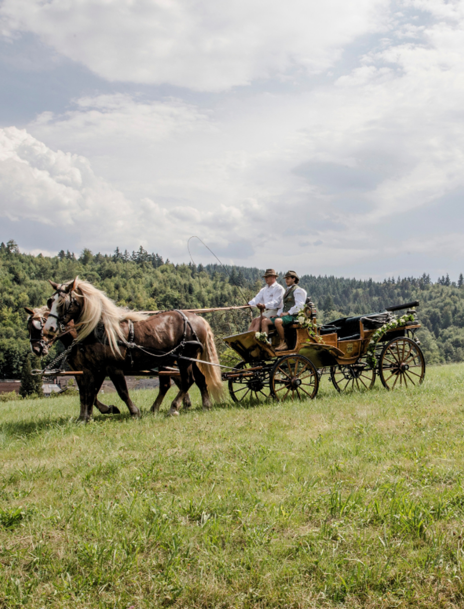 BPH - Carriage Ride