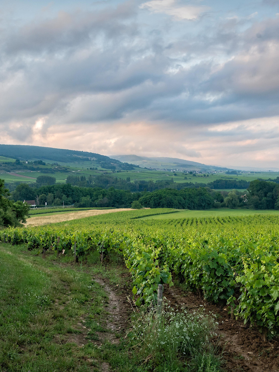 LBP - week end du sommelier: beaune, bourgogne