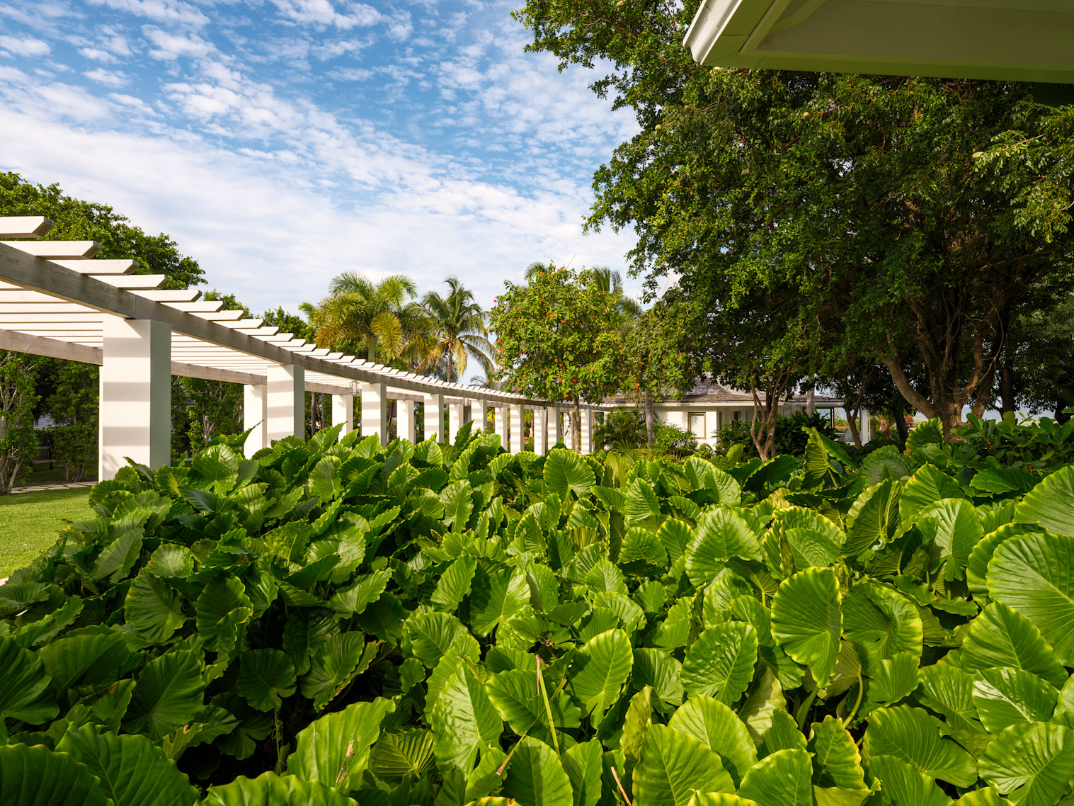 StudioIDC Evangaline-2281--E402