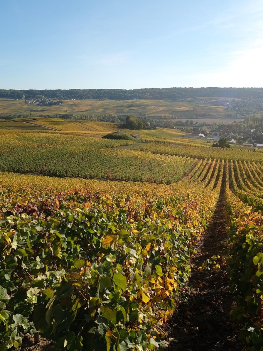 LBP - 114 Faubourg - Week-end du Sommelier - Champagne