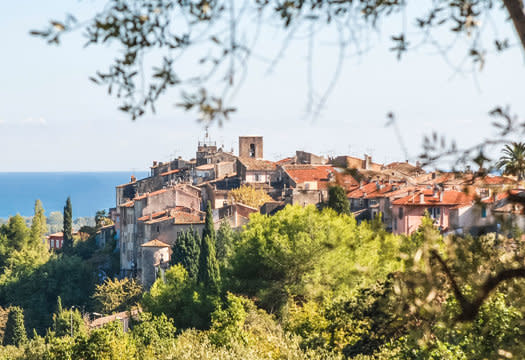 CSM - Biot overview
