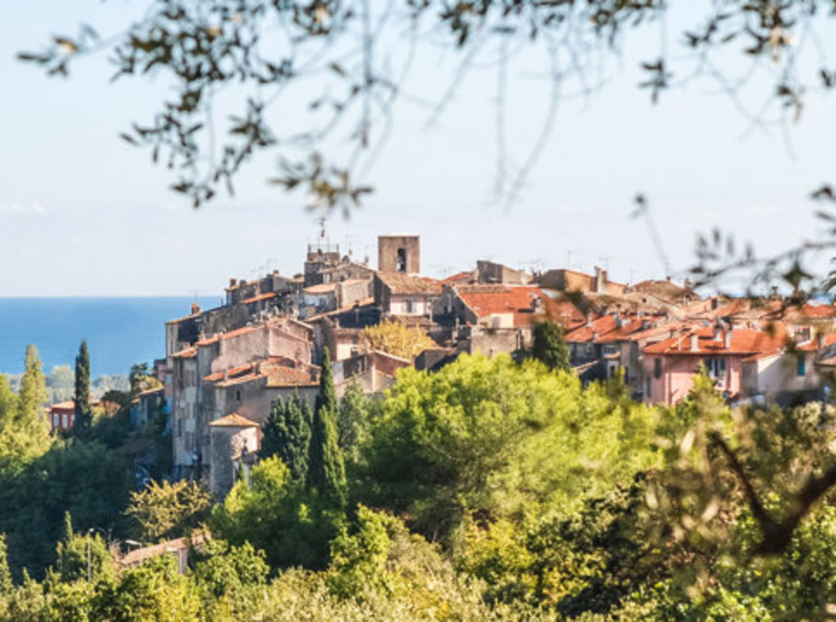 CSM - Biot overview
