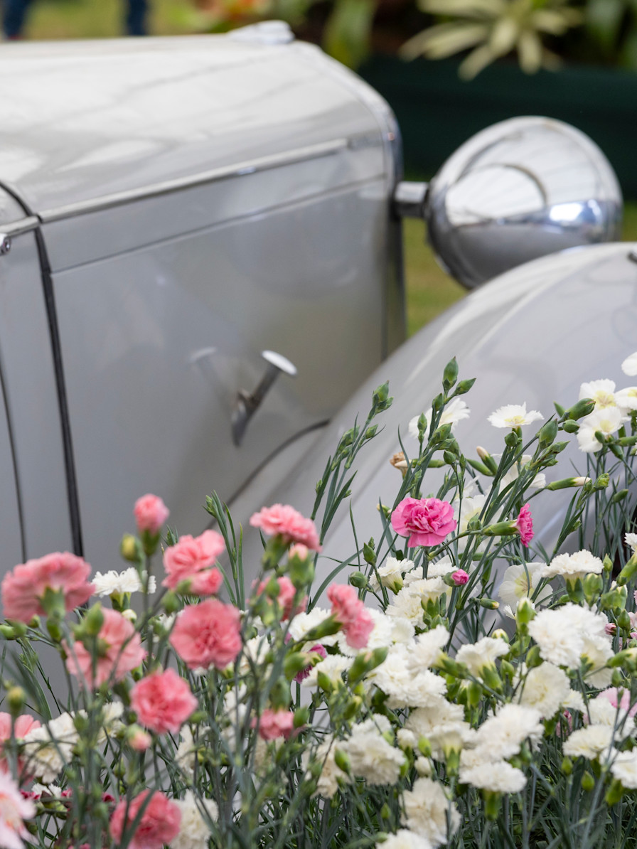 RHS Chelsea Flower Show 2023 - Press Images (7)
