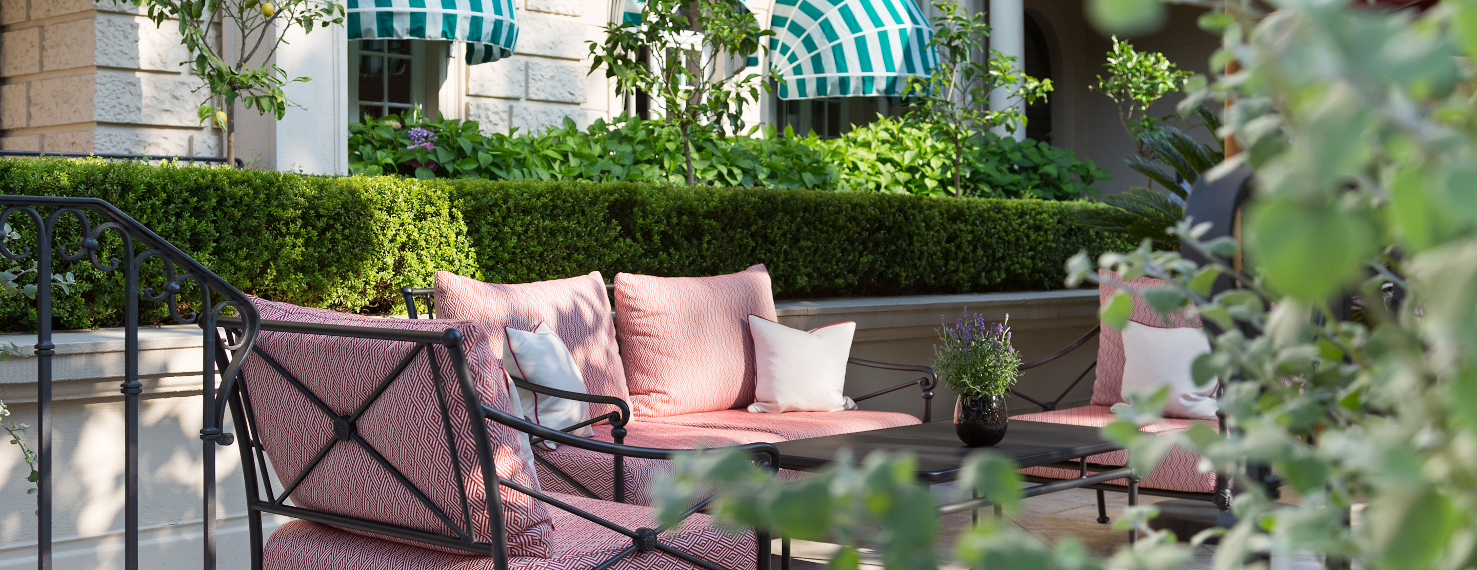 BPH - Minerva Terrace