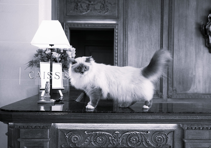 Le Bristol Paris - Socrate - ©Léa Crespi