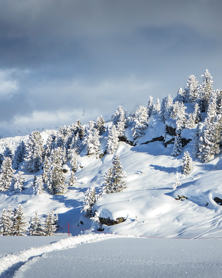 APG - Destination piste