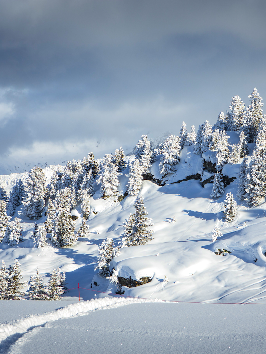 APG - Destination piste