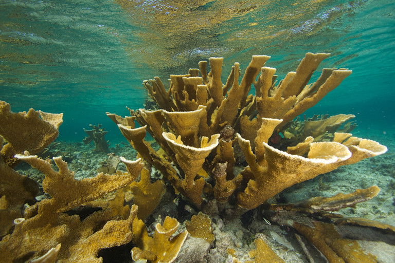 ERO - agence de l'environnement 