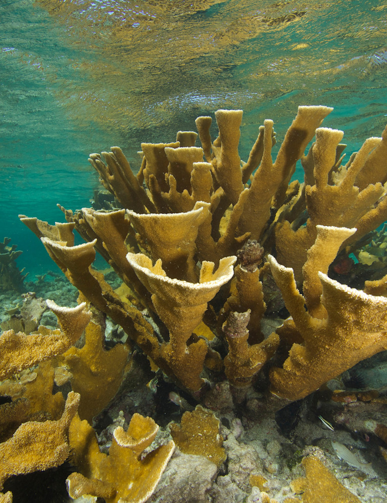 ERO - agence de l'environnement